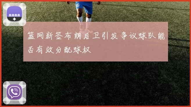 篮网新签布朗后卫引发争议球队能否有效分配球权